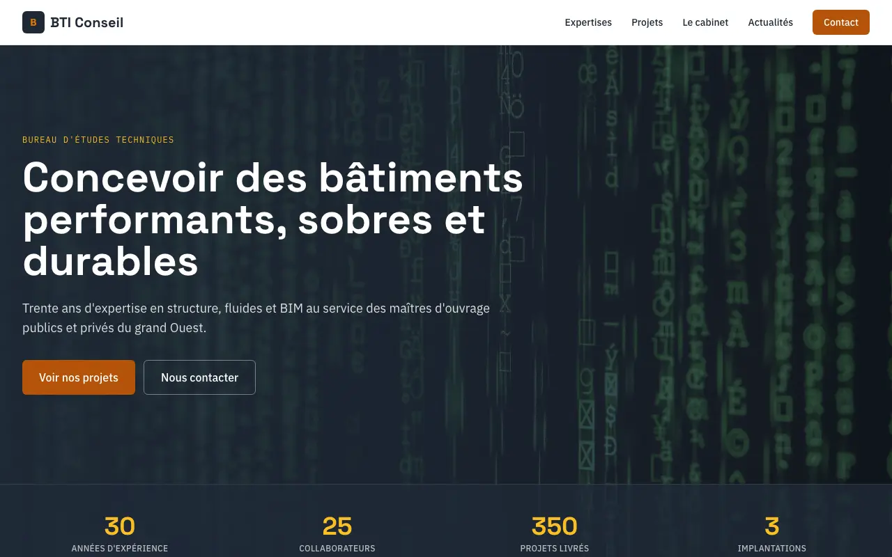 Capture du site démo BTI Conseil